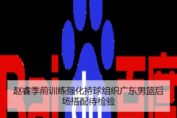 赵睿季前训练强化持球组织广东男篮后场搭配待检验